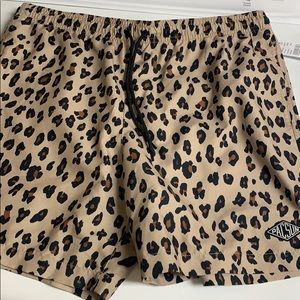 PacSun Men’s Swim Shorts